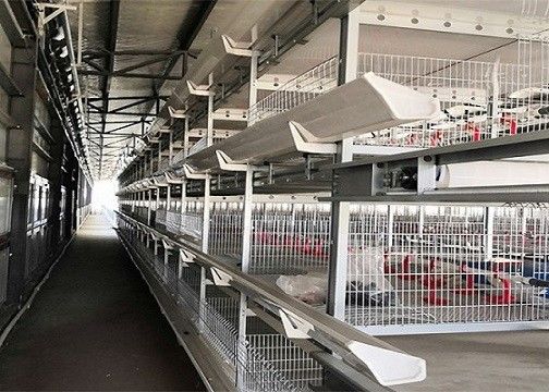 OEM / ODM โครงสร้างเหล็กฟาร์มสัตว์ปีกโรงเรือนไก่สำเร็จรูป