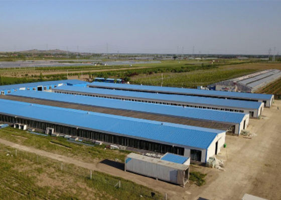 โรงเรือนเลี้ยงไก่โครงสร้างเหล็กชุบสังกะสี Windproof Steel Chicken House