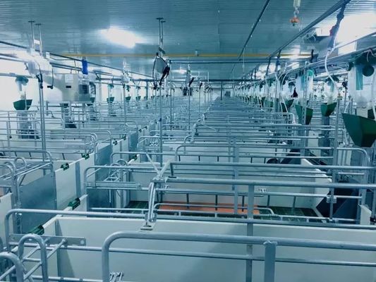 โครงสร้างเหล็ก Windproof Pig House Portal โครงเหล็กสำเร็จรูป ISO9001