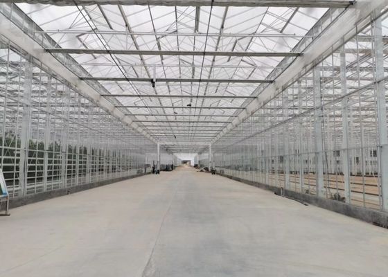 Green Plant Garden เรือนกระจกกระจกนิรภัยสำหรับไม้ดอกไม้ประดับขนาดใหญ่