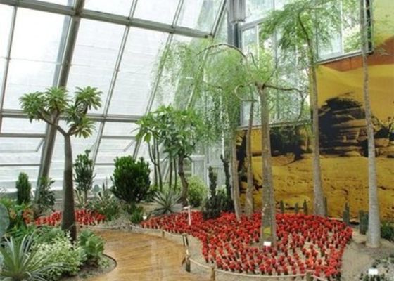 Winter Garden Sunlight Room Small Steel Venlo Glass เรือนกระจกวางกลับ