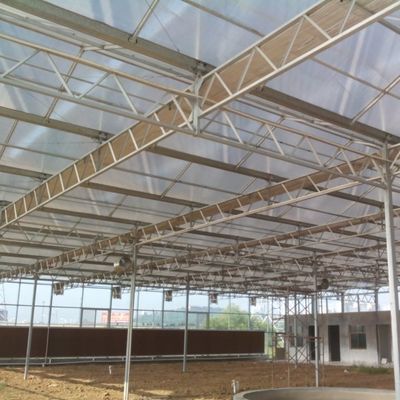 โรงเรือนกระจกสําหรับการปลูกพืชผักที่มีผลผลผลิตสูง สําหรับฝรั่ง / ถั่ว