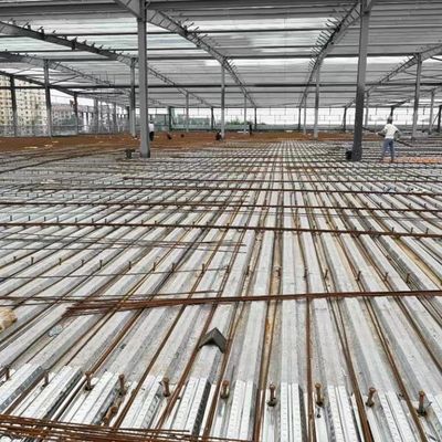 โครงสร้างเหล็ก Q355B สำหรับการจัดเก็บอาคารคลังสินค้า