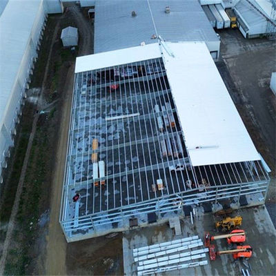 Q355/ Q235 โรงงานผลิตเหล็ก สร้างด้วยการเลือกและการปิด