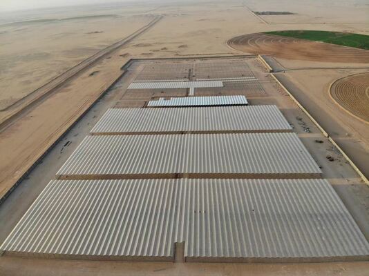 การปลูกปลูกทางการเกษตร วานูโอ