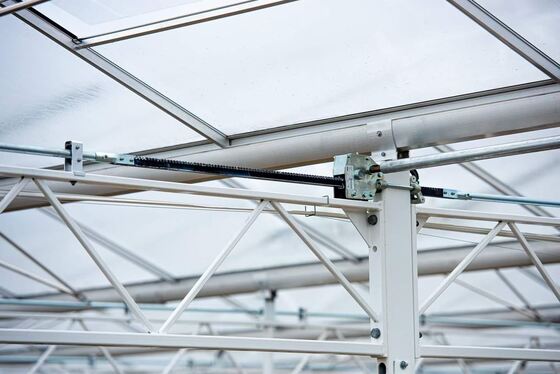 การปลูกปลูกทางการเกษตร วานูโอ