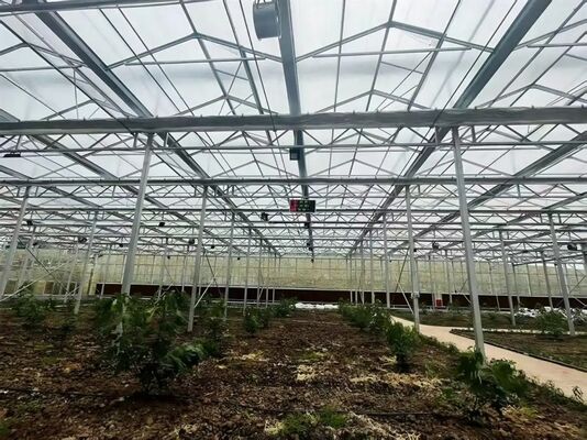 A continuous-span polyethylene film greenhouse used to increase vegetable yields and accelerate the maturation process of vegetables