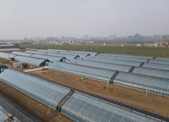 โรงเรือนกระจกพอลิเอธีเลนสเปนต่อเนื่องสําหรับการปลูกดอกไม้ที่มีคุณภาพสูง