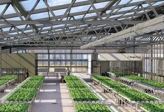 Wenlu Tourist Glass Greenhouse - Large-scale Fruit Planting Greenhouse