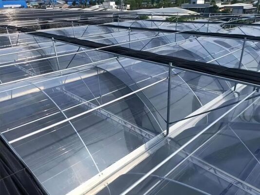 Wenlu Tourist Glass Greenhouse - Large-scale Fruit Planting Greenhouse