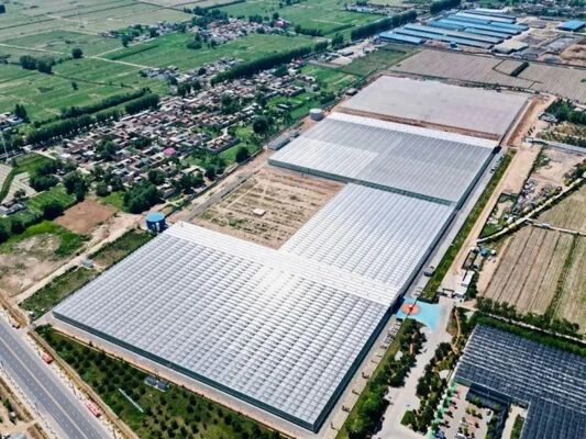 โรงเรือนกระจกปลูกผลไม้ โรงเรือนกระจกขนาดใหญ่ Woonloos