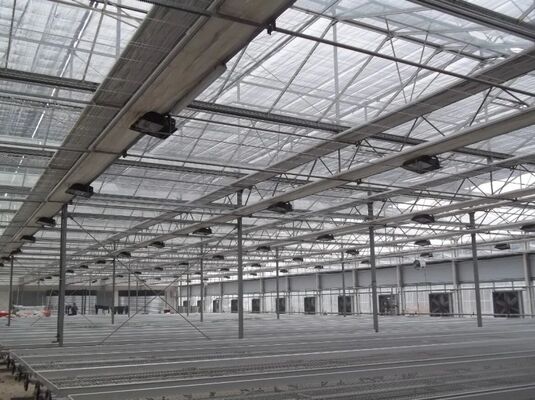 โรงเรือนกระจกปลูกผลไม้ โรงเรือนกระจกขนาดใหญ่ Woonloos